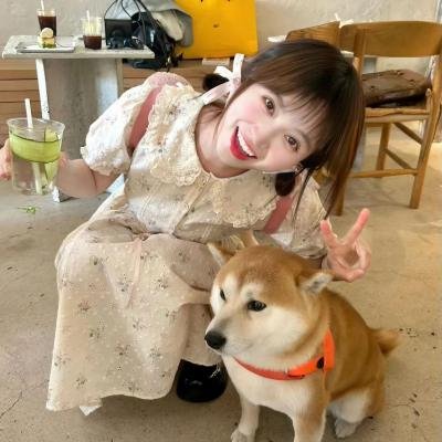 权欲第六季